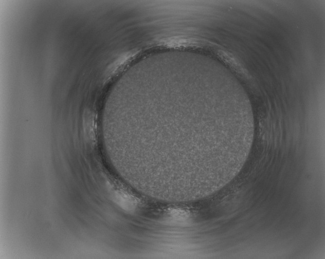 X0000080110592200612301946