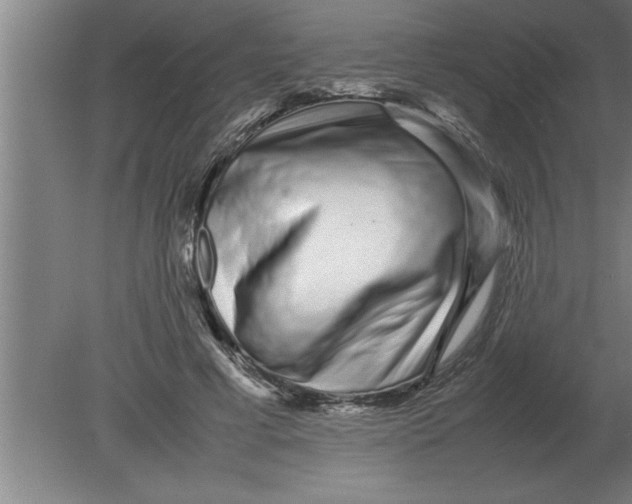 X0000080110593200612301946