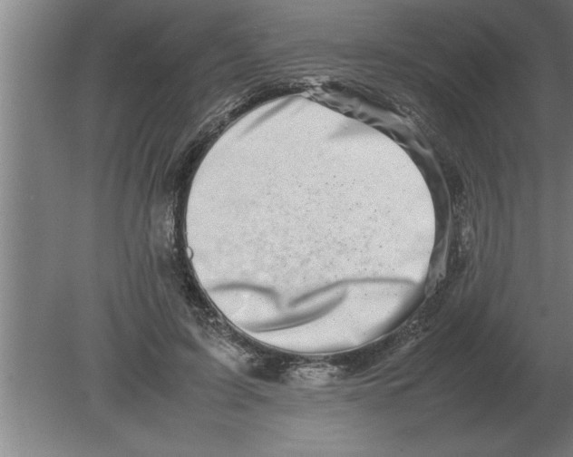 X0000080110595200612301946