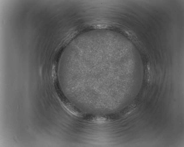 X0000080110598200612301946