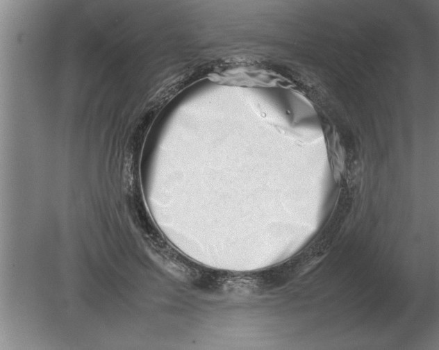 X0000080110599200612301946