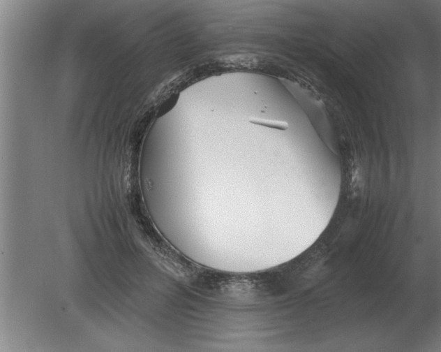 X0000080110600200612301946