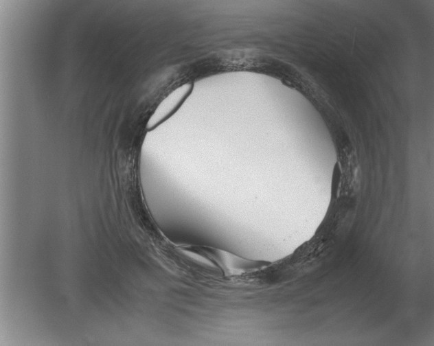 X0000080110601200612301945