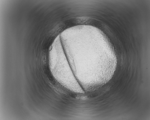 X0000080110602200612301945