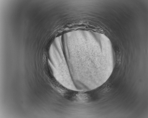 X0000080110603200612301945