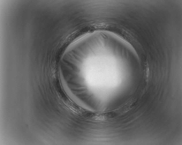 X0000080110604200612301945