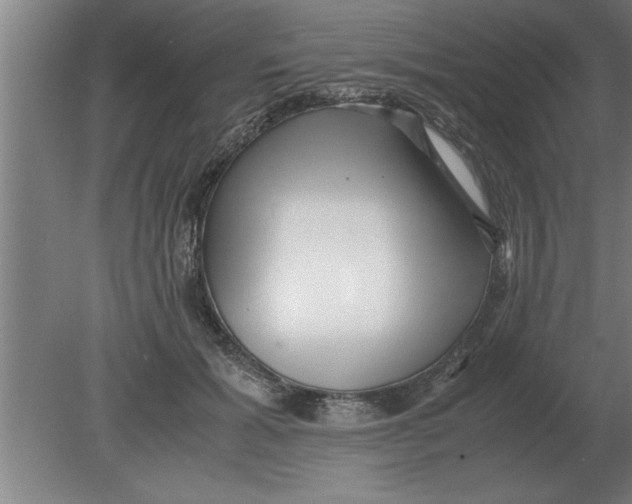 X0000080110605200612301945