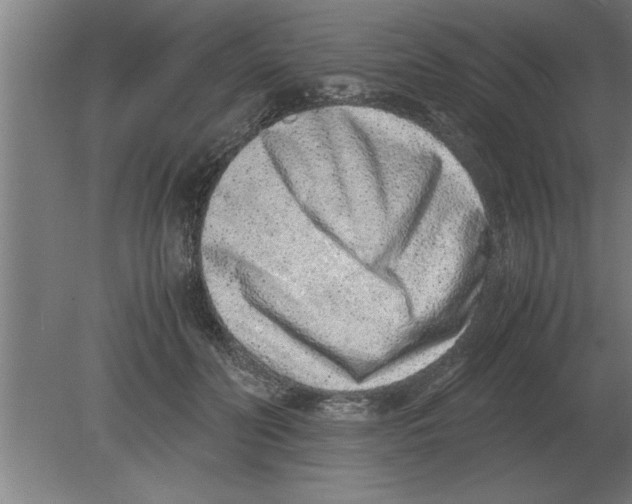 X0000080110606200612301945