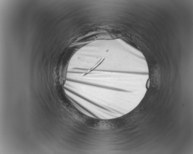 X0000080110608200612301945