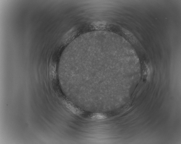 X0000080110610200612301945