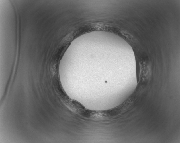 X0000080110611200612301945