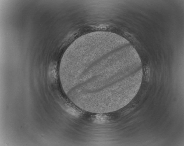 X0000080110612200612301945