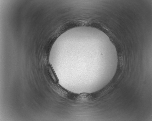 X0000080110613200612301945