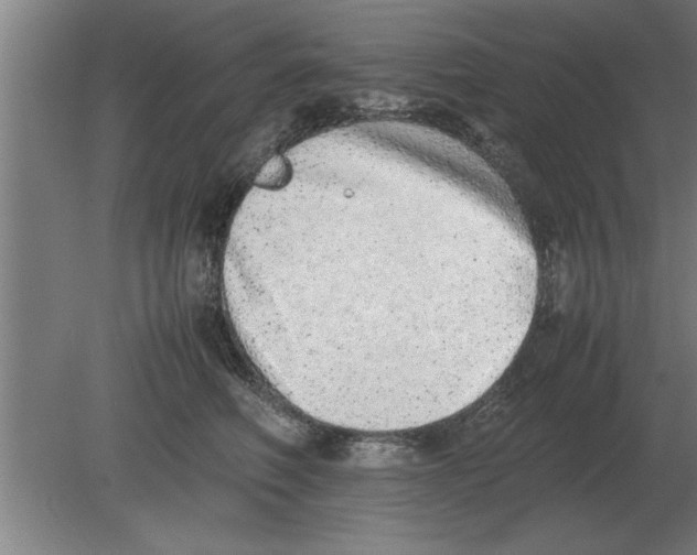 X0000080110614200612301945