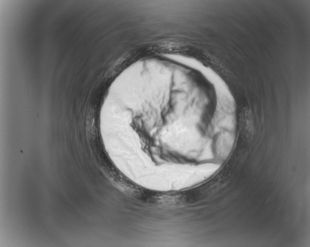 X0000080110615200612301945