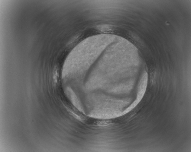 X0000080110618200612301945