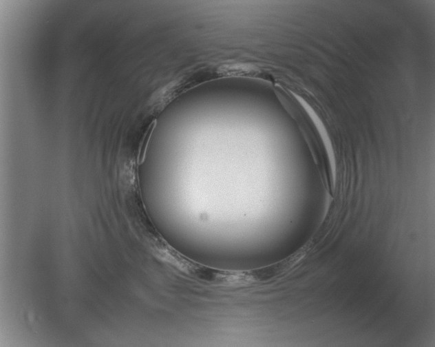 X0000080110621200612301945