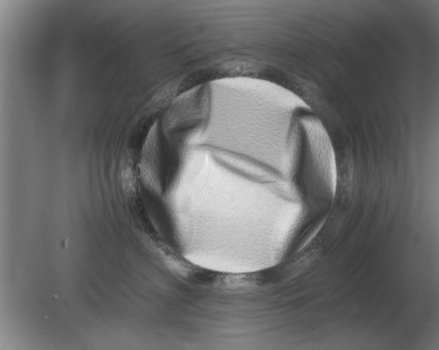 X0000080110622200612301945