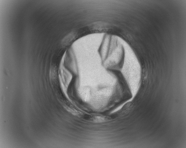 X0000080110623200612301945