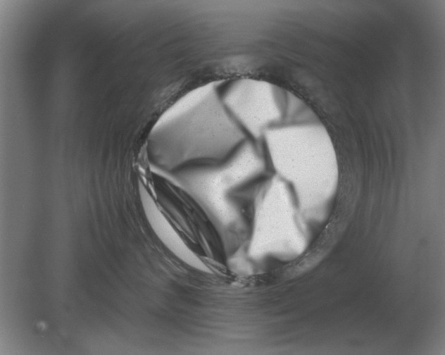 X0000080110624200612301945