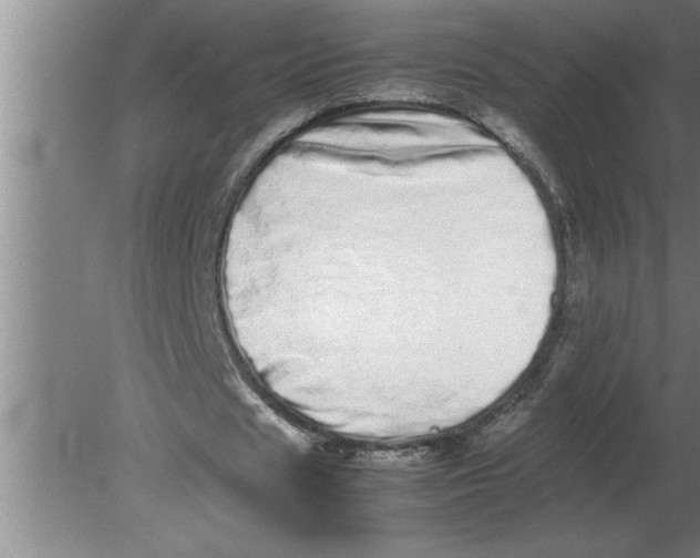 X0000080110625200612301944