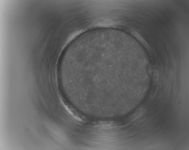 X0000080110626200612301944