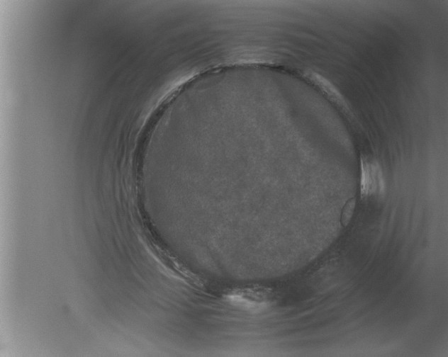 X0000080110627200612301944