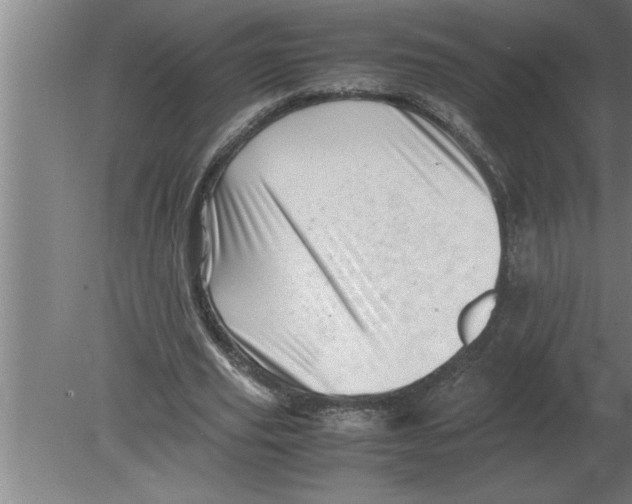 X0000080110629200612301944