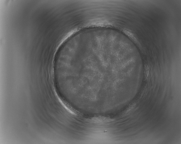 X0000080110630200612301944