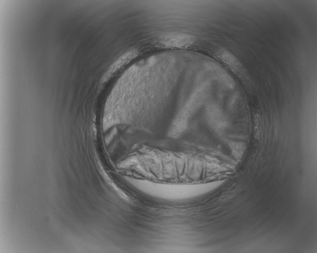 X0000080110634200612301944