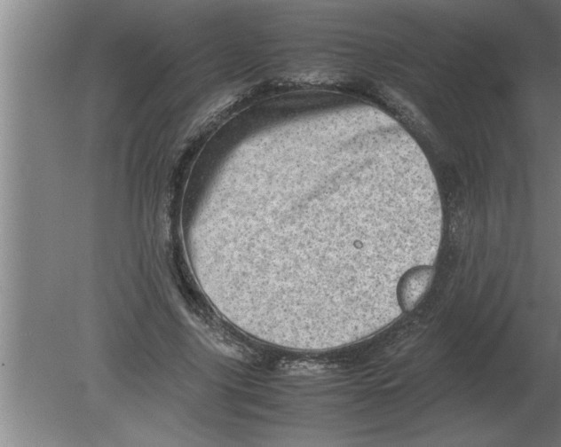 X0000080110635200612301944