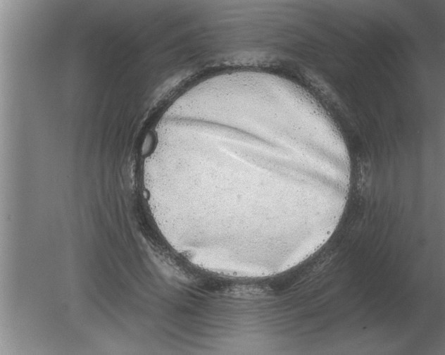 X0000080110636200612301944