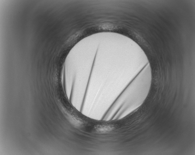 X0000080110639200612301945