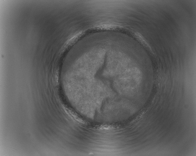 X0000080110640200612301945