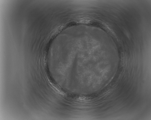 X0000080110641200612301945