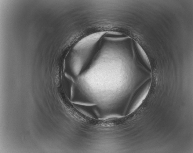 X0000080110642200612301945