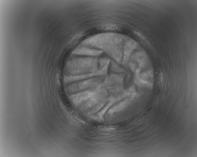 X0000080110643200612301945