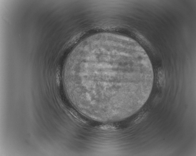 X0000080110644200612301945