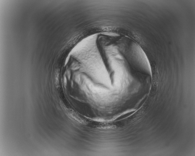 X0000080110646200612301945