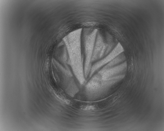 X0000080110647200612301945