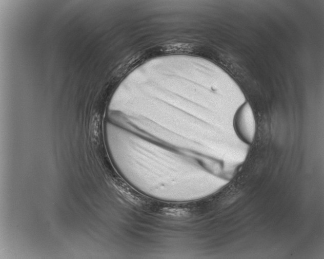 X0000080110649200612301945