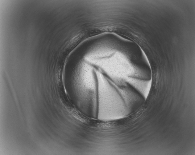 X0000080110652200612301945