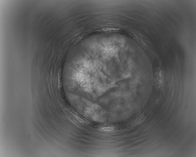 X0000080110653200612301945