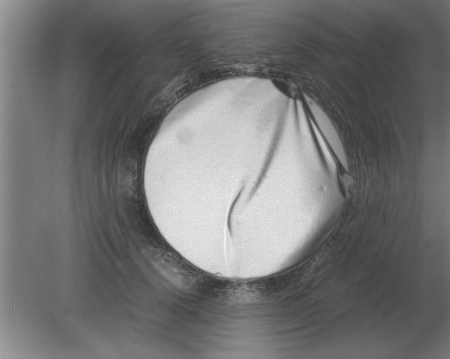 X0000080110656200612301945