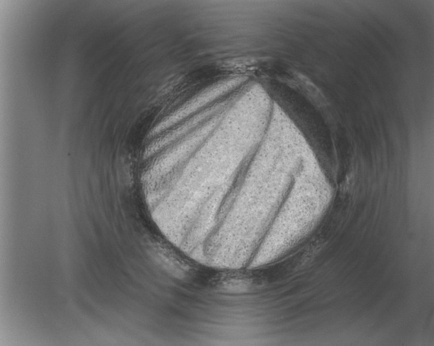 X0000080110658200612301945