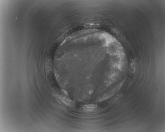 X0000080110659200612301945