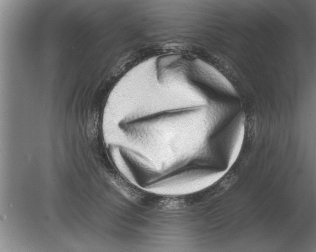 X0000080110660200612301945