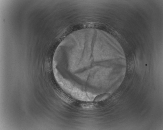 X0000080110661200612301945