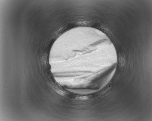 X0000080110665200612301945