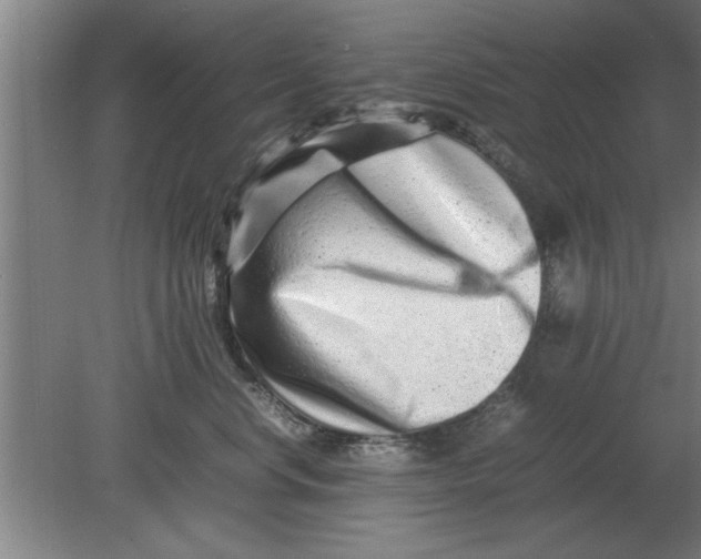 X0000080110668200612301945